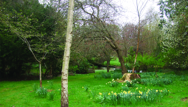 Bonhard Garden