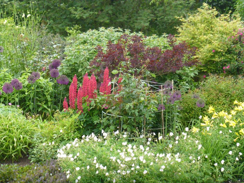 Greenhead Farmhouse