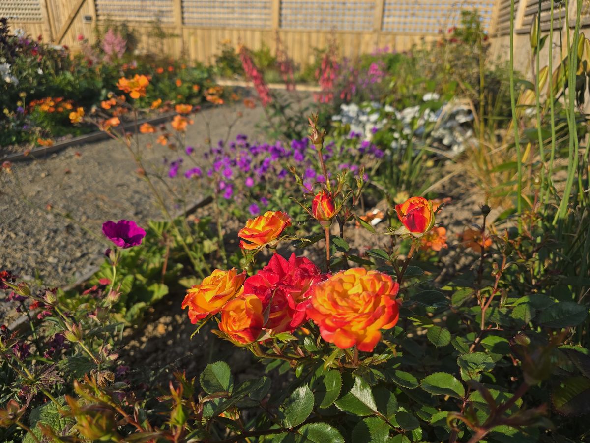 Lochview Gardens