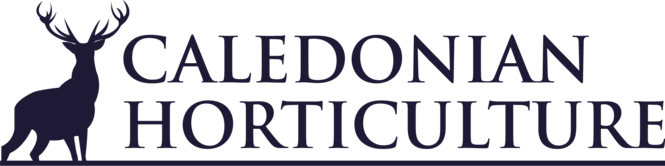 ch-logo-nb.png