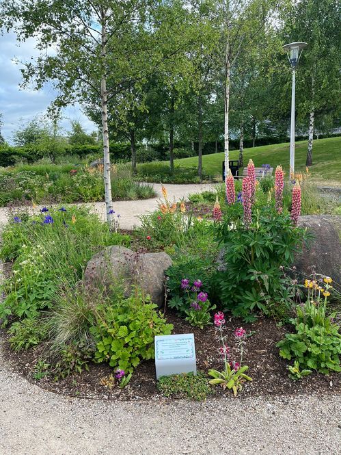 Elsewhere Garden