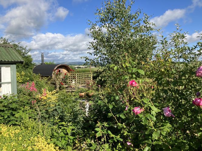 Whitsome Welcomes You