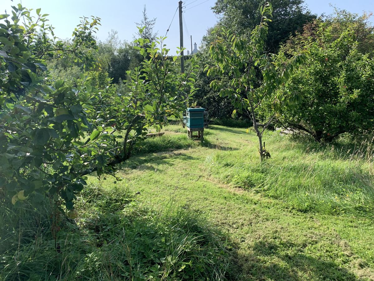Knockmarloch