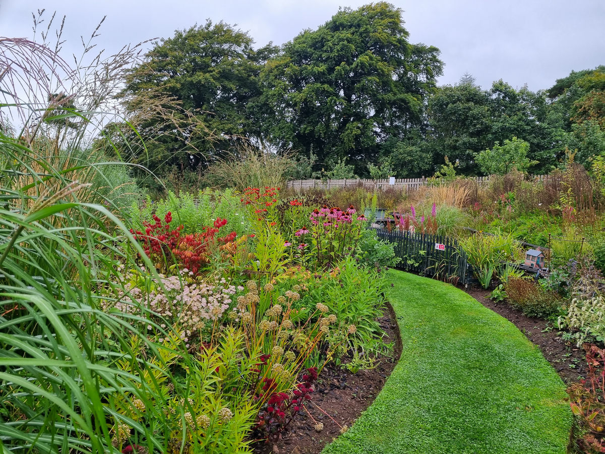 Quercus Garden Plants