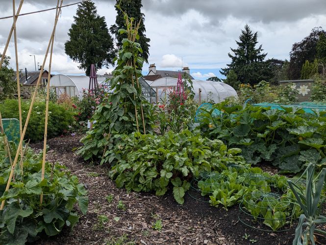 Rattray Community Garden