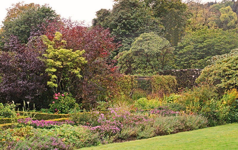 Ardmaddy Castle ? Brenda White