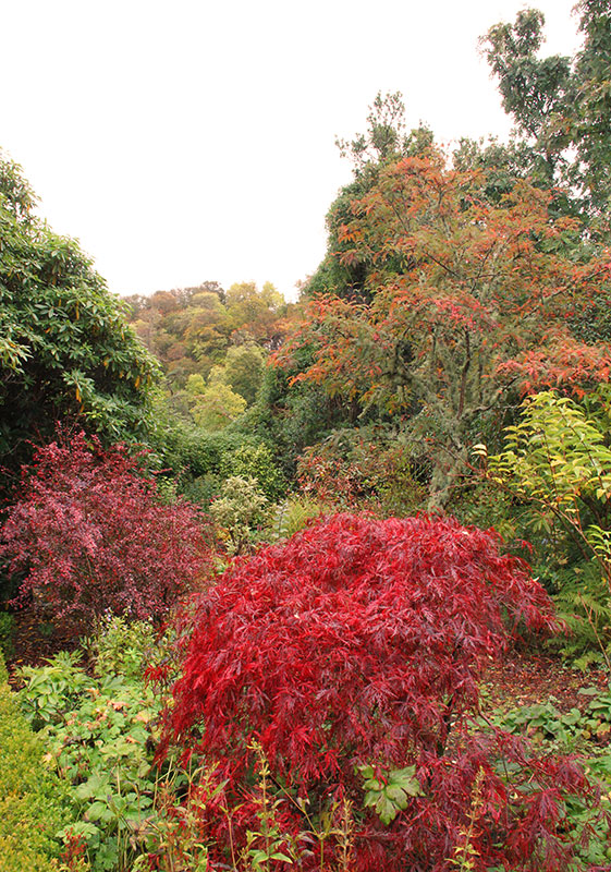 Ardmaddy Castle ? Brenda White