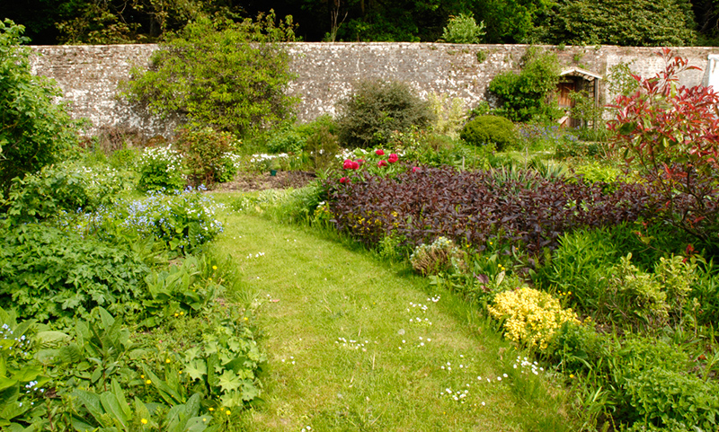 Danevale Park ? Mary McIlvenna