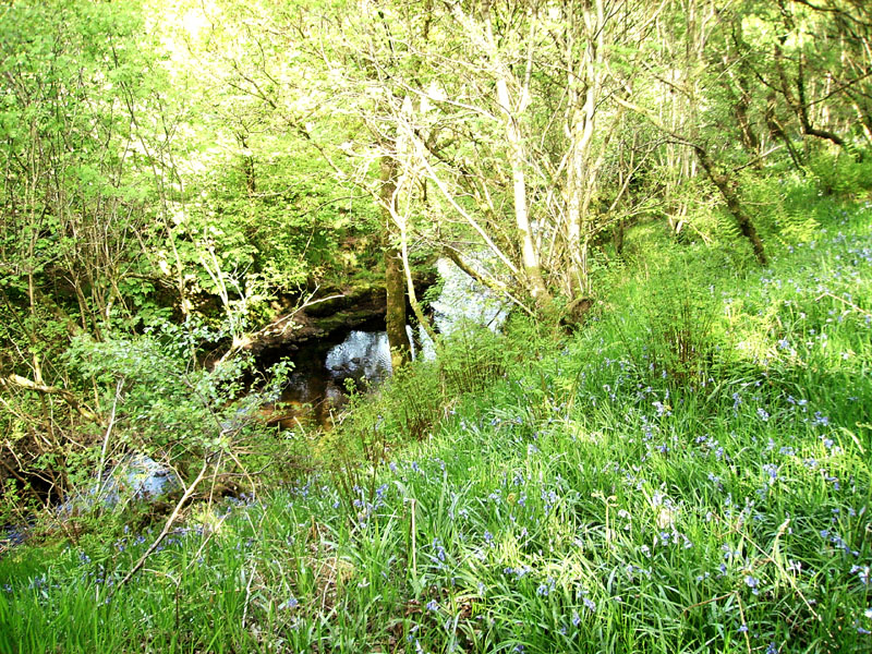 Highwood