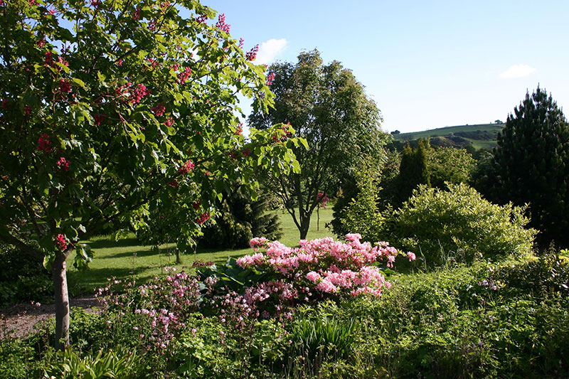 Rosewells