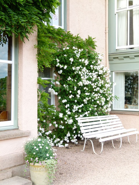 Finzean House