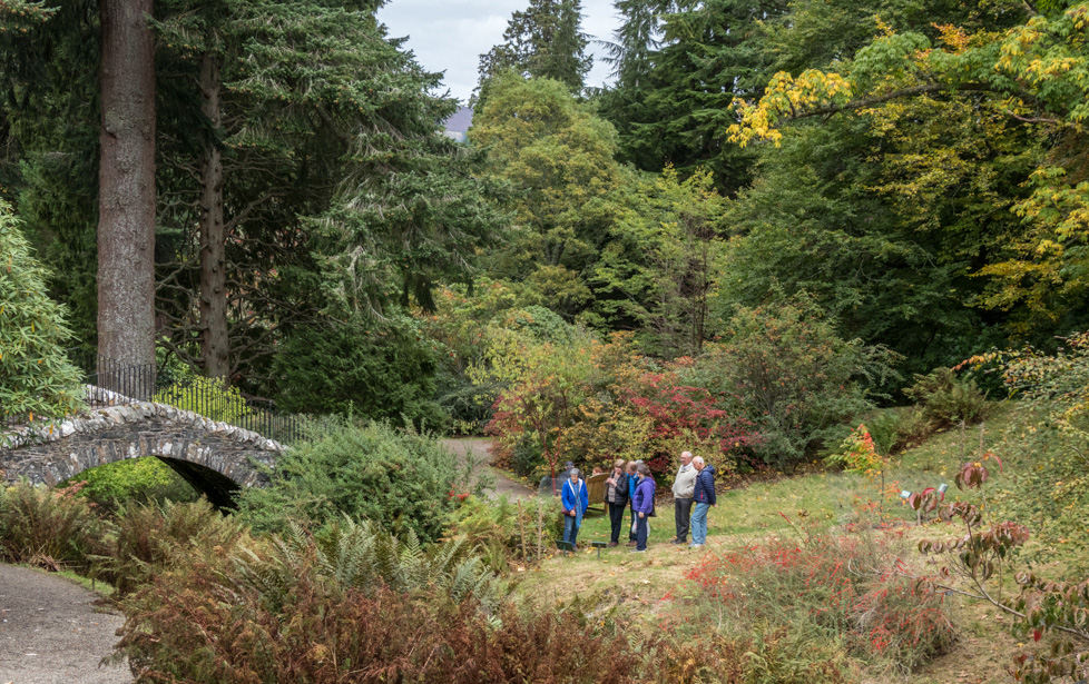 Dawyck Botanic Garden