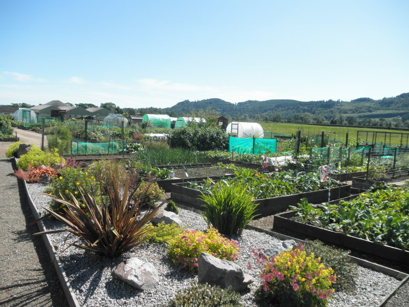 Dalbeattie Community Allotments Association