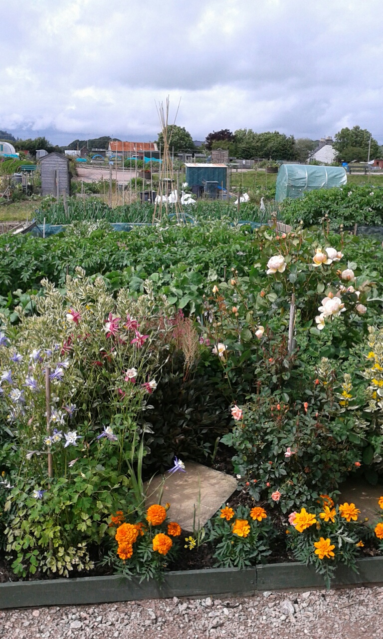 Dalbeattie Community Allotments Association