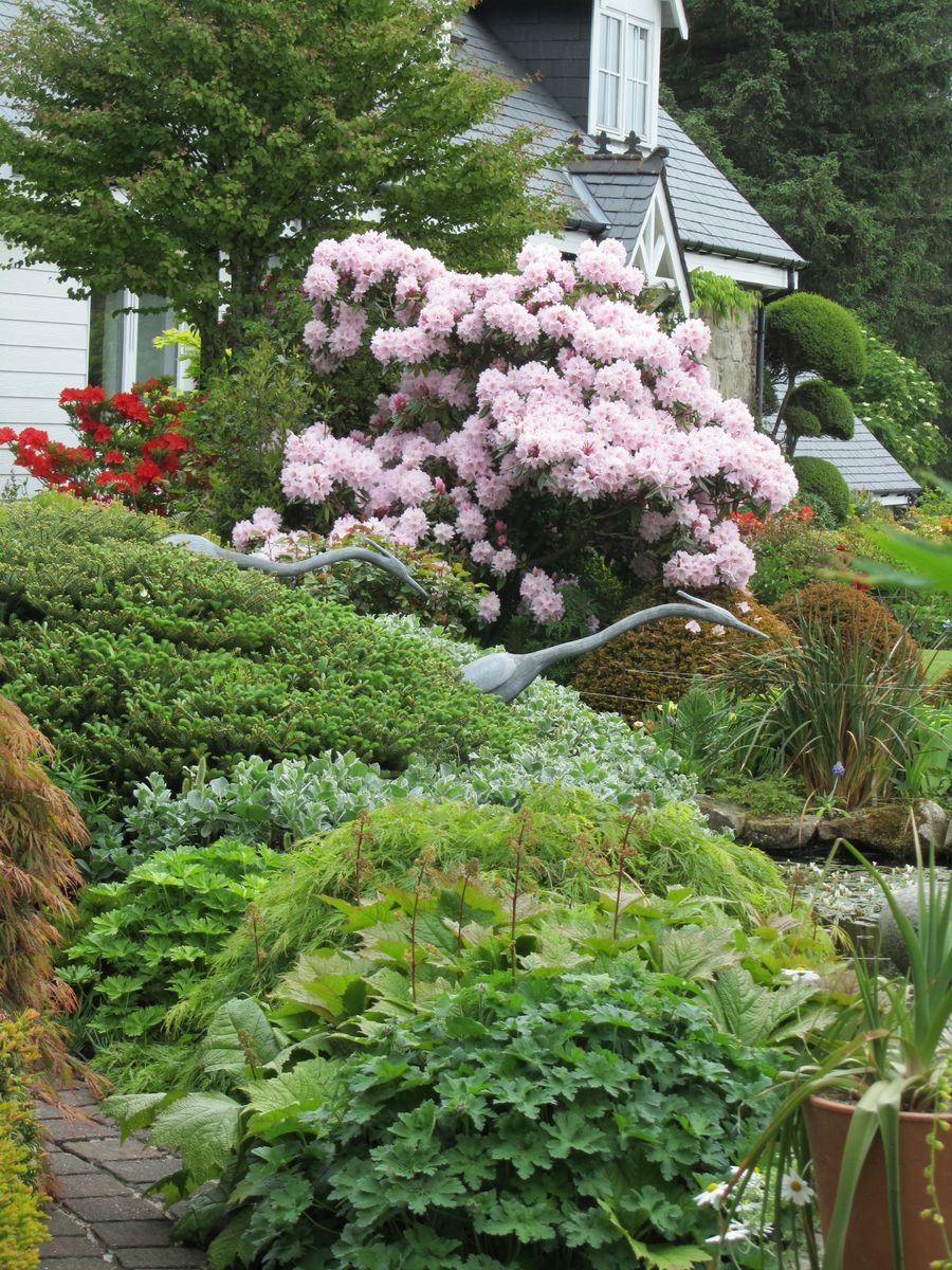 Pinetrees Cottage