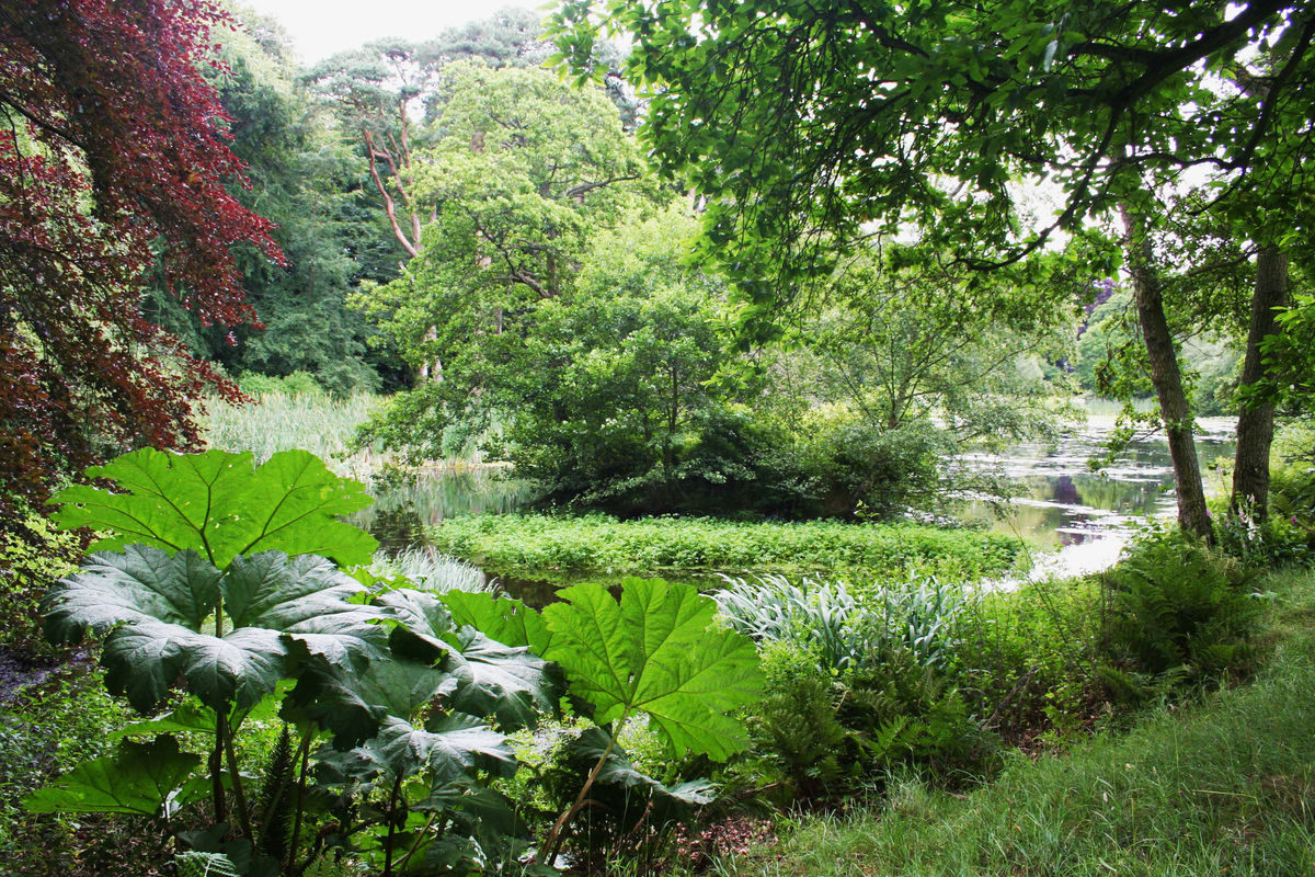 Pitmuies Gardens